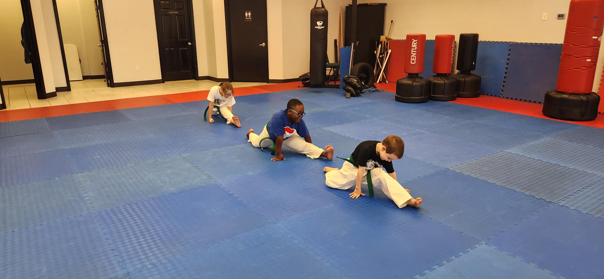 Young Brothers Taekwondo Rosenberg Class Schedule